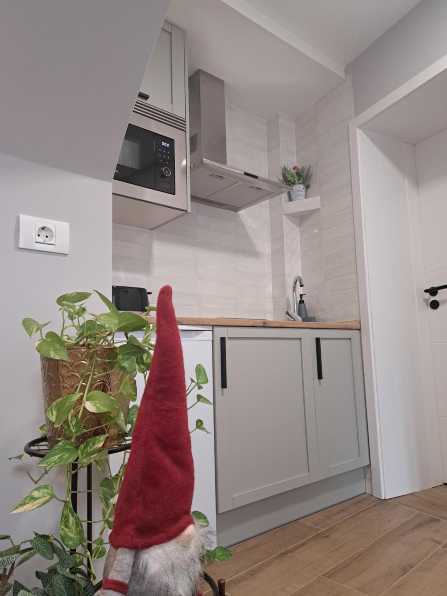 Ferienwohnung Casa Ileana Centrul Vechi Brașov Exterior foto